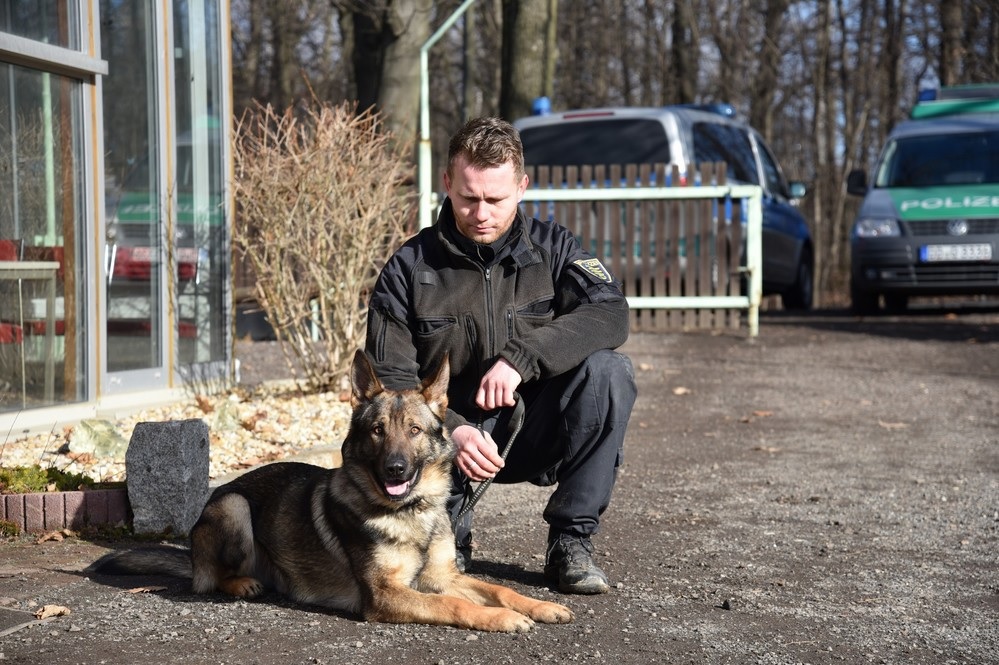 Pressefoto