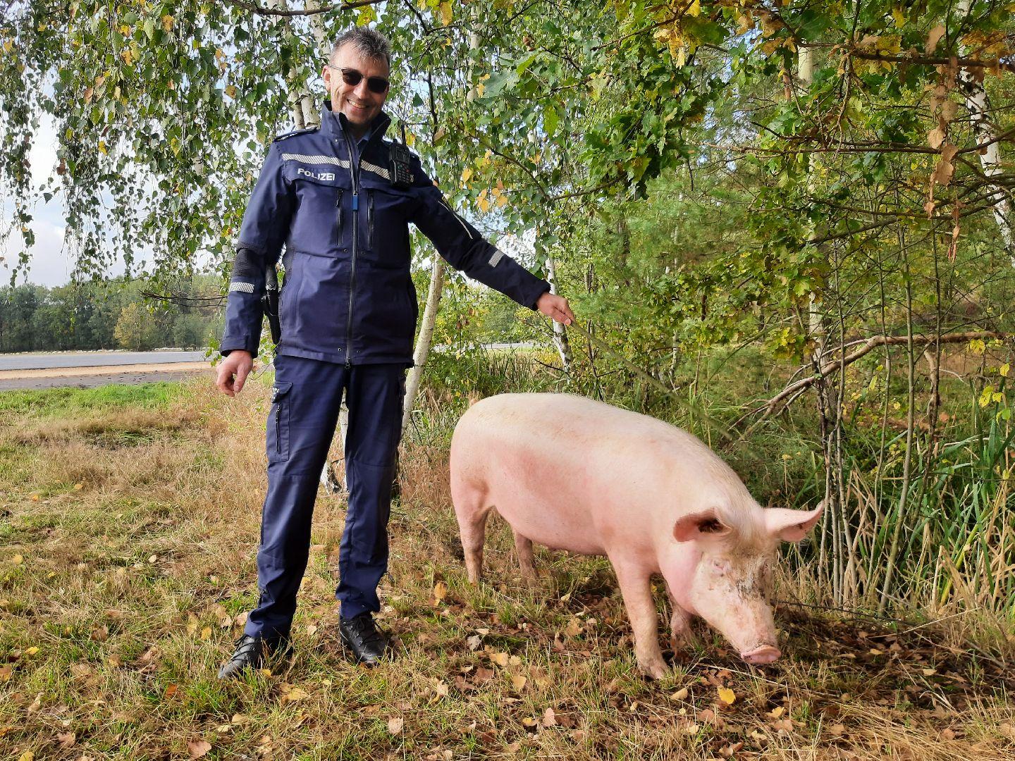 Pressefoto