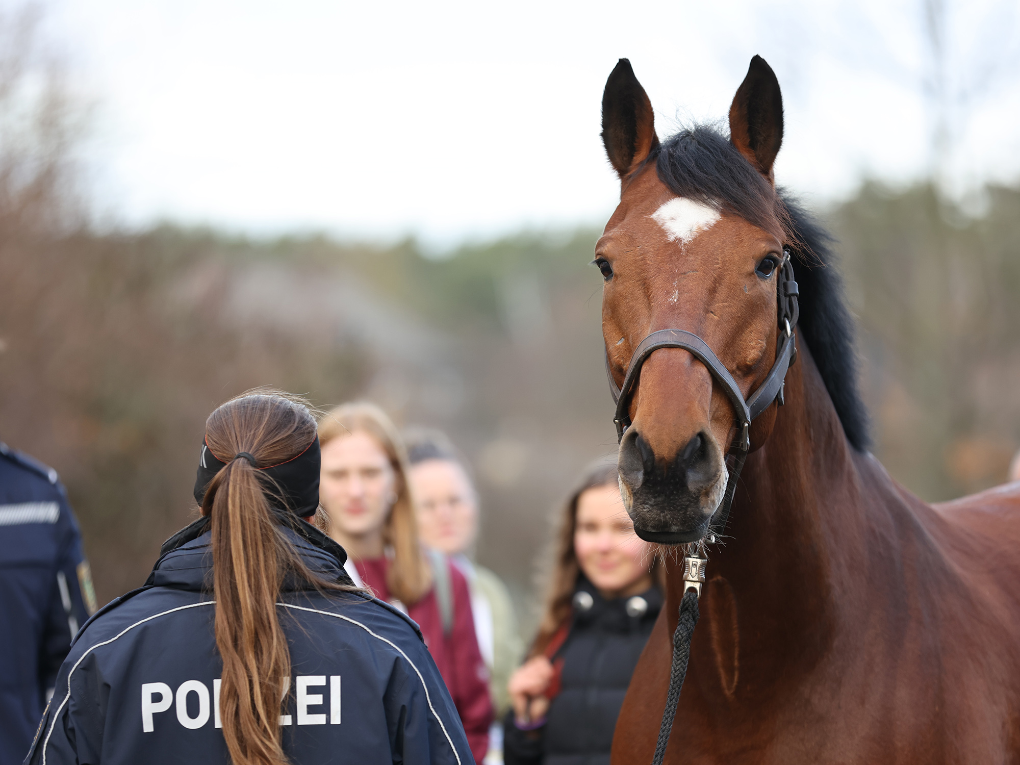 Pressefoto