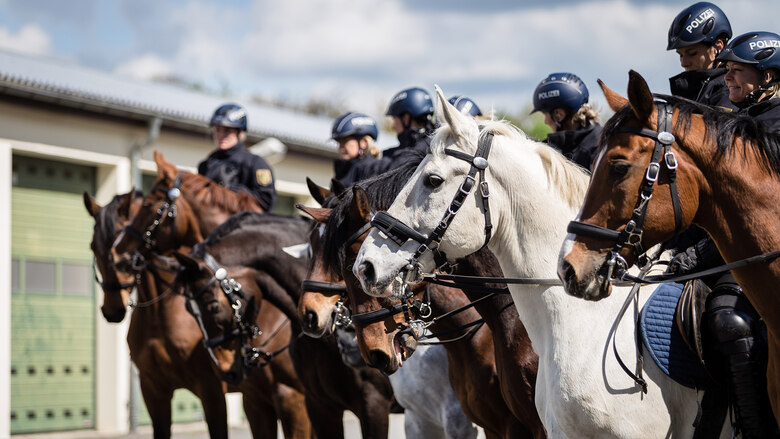 Polizeireiterstaffel