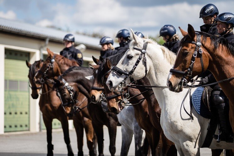 Polizeireiterstaffel