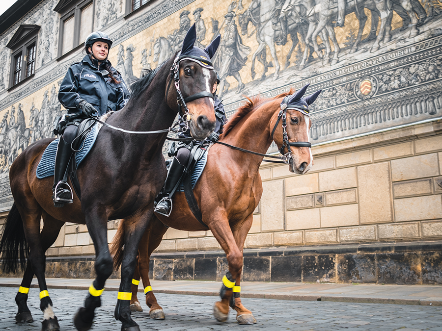 Reiterstaffel reitet durch die Stadt