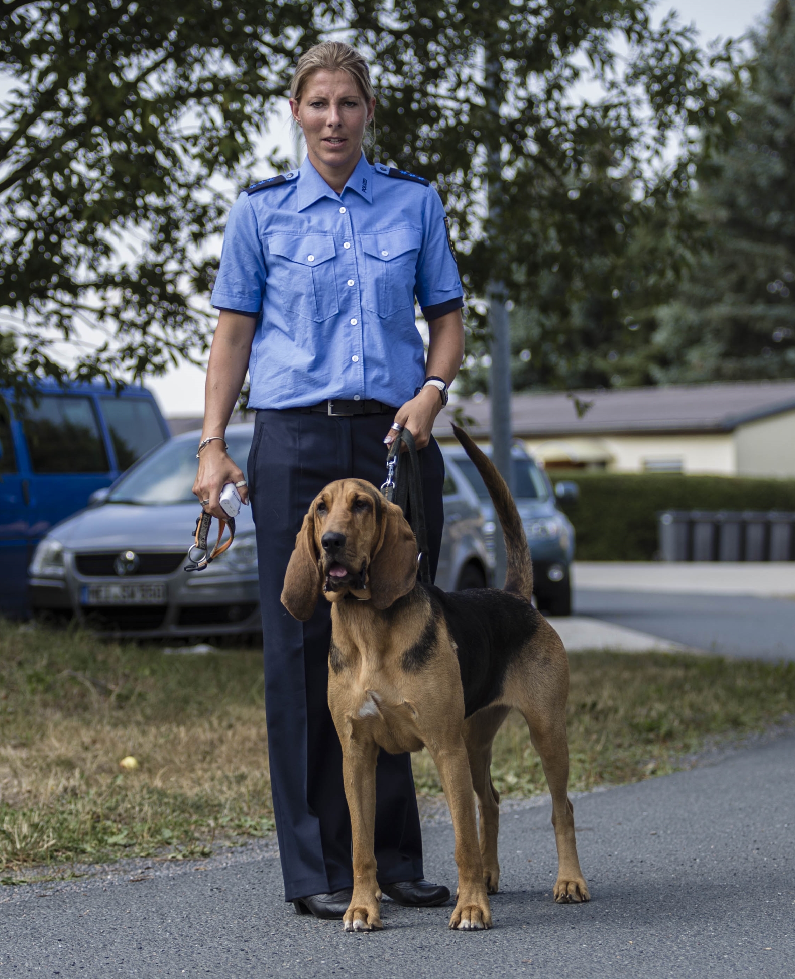 Fährtenhund/Mantrailer