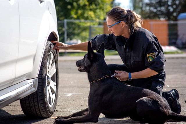 Polizeihund mit Ausbilder