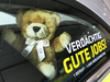 Teddy in Streifenwagen