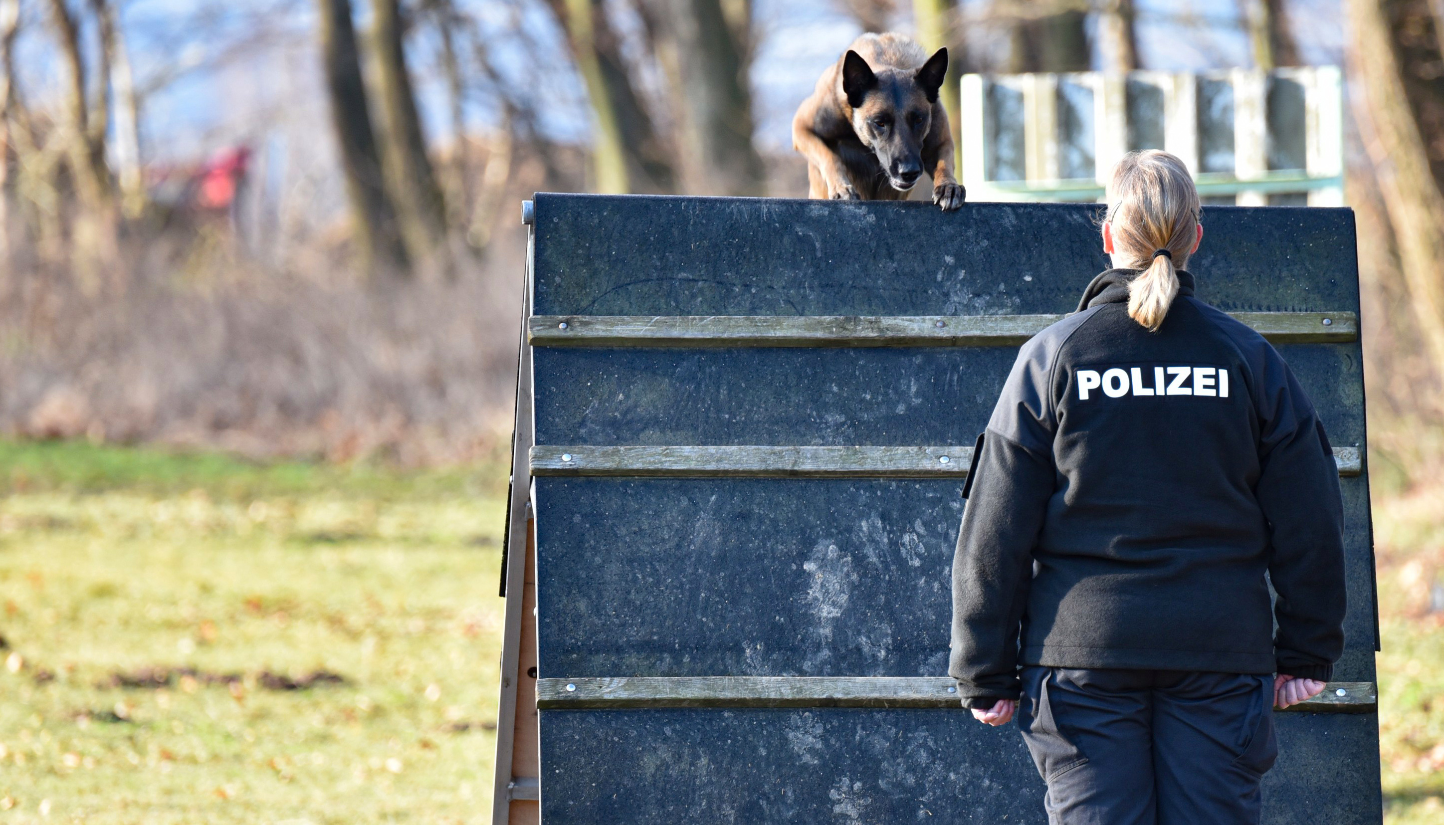 Fachdienst Diensthundestaffel