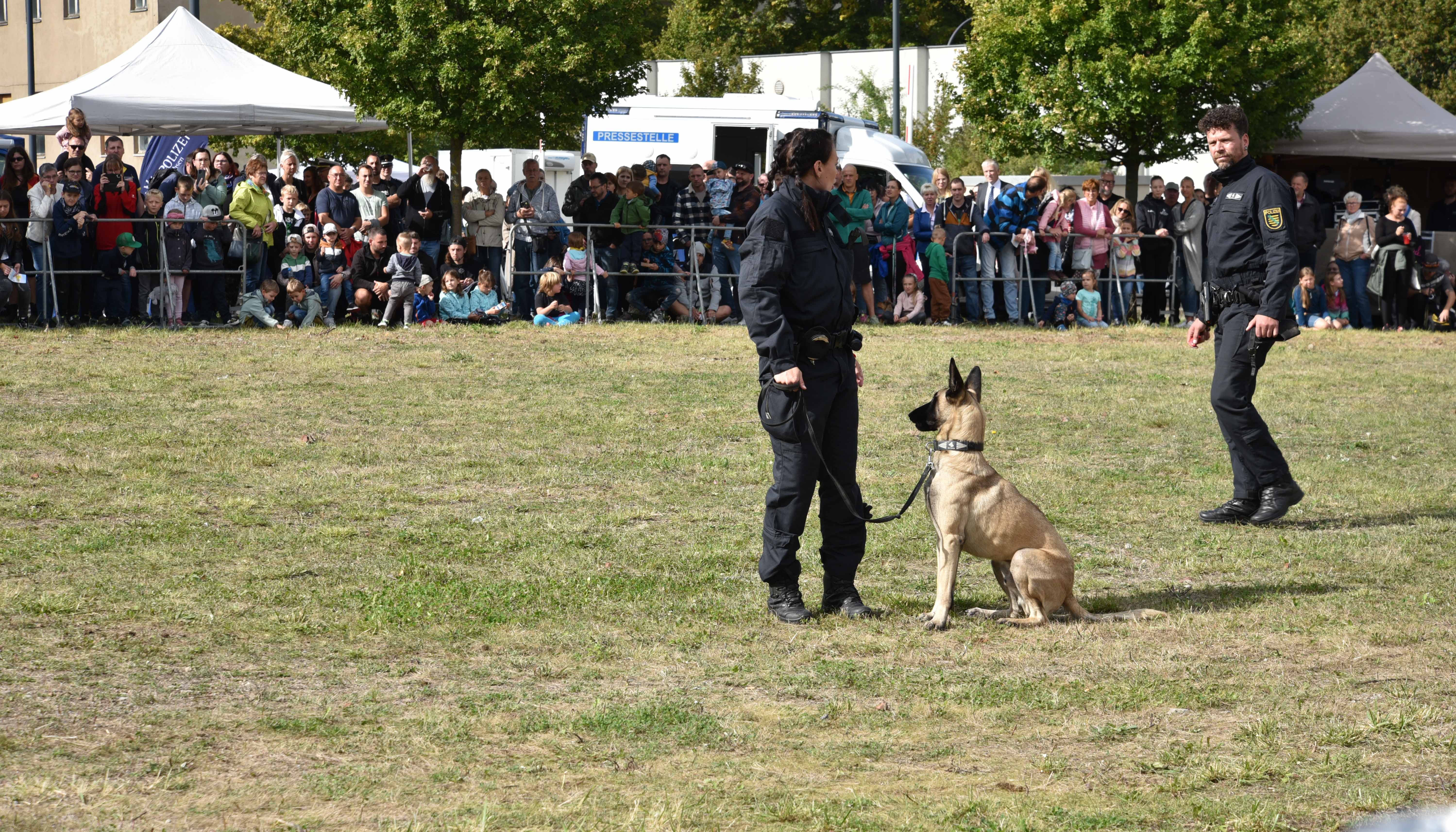 Vorführung Diensthundestaffel